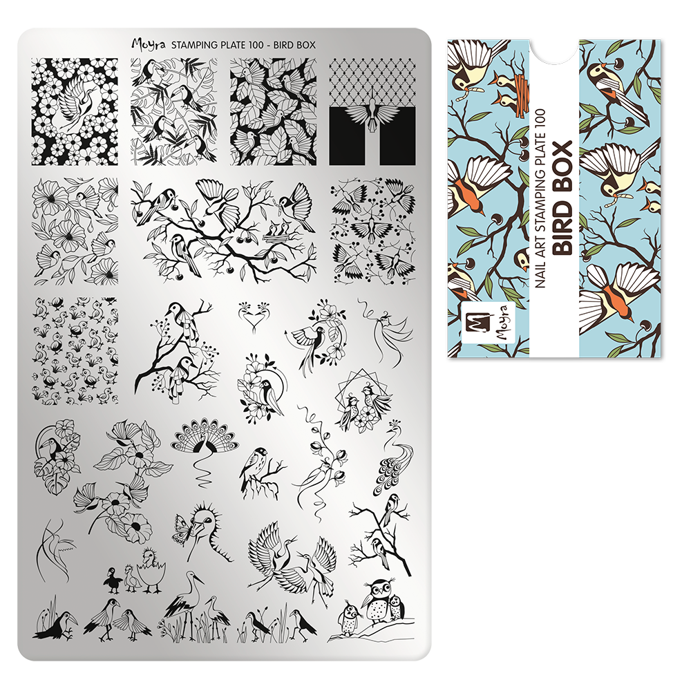 Moyra stamping plate 100 Bird box